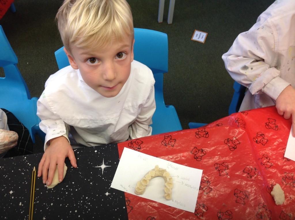 Phoenix Class exploring teeth in Biology 