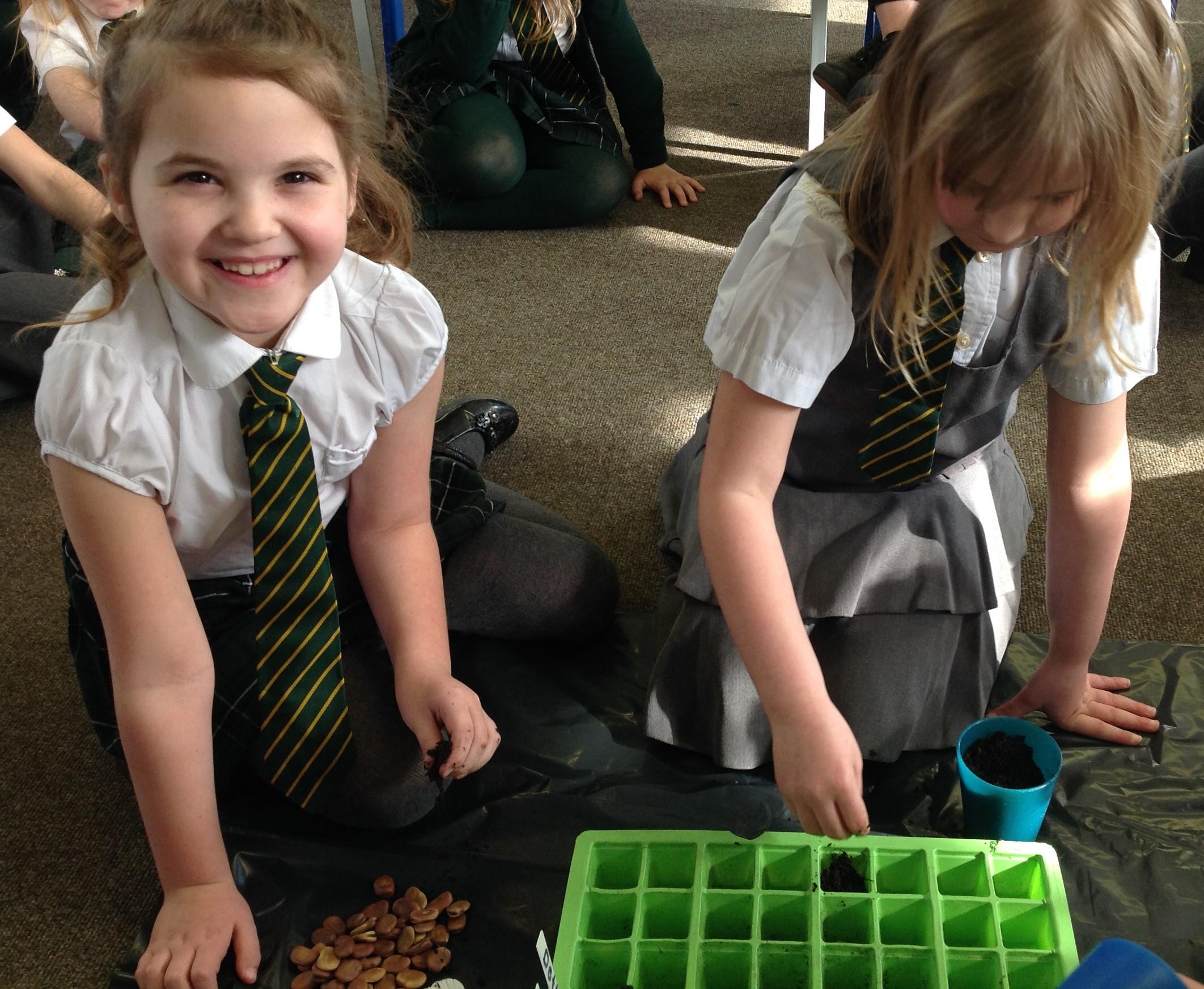 Unicorn Class exploring the germination process